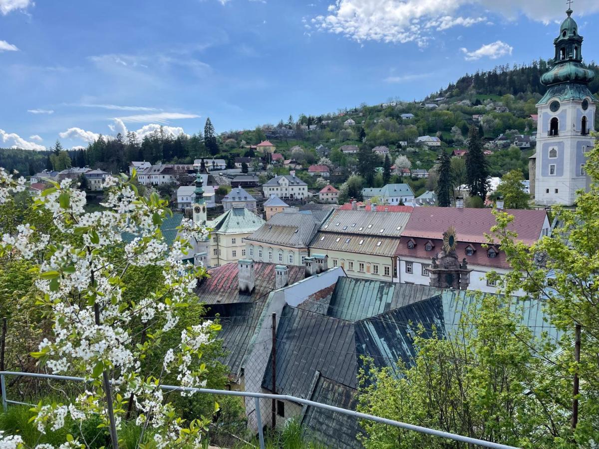 Cyprian Apartment Banská Štiavnica Kültér fotó